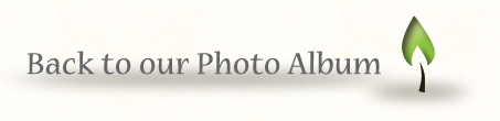back to our photo album
