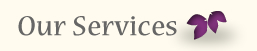 services