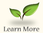 learn more