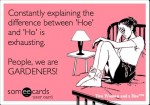 Hoe