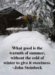 spring in the snow