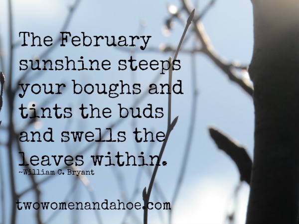 february quotes