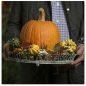 pumpkin tray