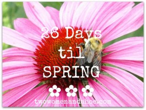 Spring-Countdown-2015