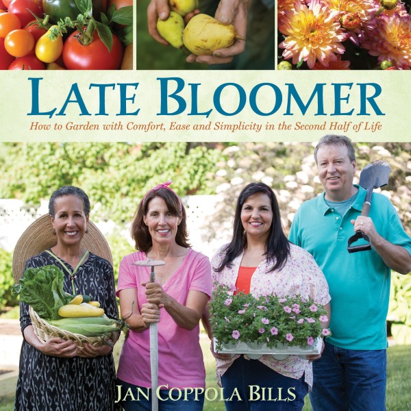 Late Bloomer Cover