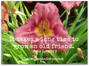 old-friends-daylilies-gardening