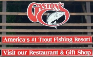 Gaston's White River Resort