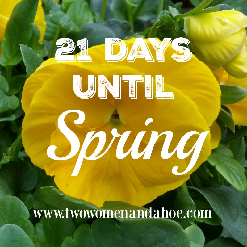 Spring countdown